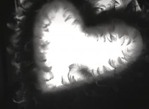 Kuvassa on höyhenpeitteessä oleva syämenmuotoinen aukko