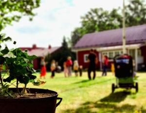 aurinkoinen pihapiiri, jossa taustalla ihmisiä ja lastenrattaat