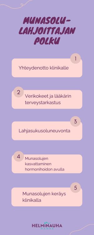 Infografiikka: Munasolulahjoittajan polku, 1. Yhteydenotto klinikalle, 2. Verikokeet ja lääkärin terveystarkastus, 3. Lahjasukusoluneuvonta, 4. Munasolujen kasvattaminen hormonihoidon avulla, 5. Munasolujen keräys klinikalla