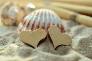 Kuvassa kaksi puista sydäntä hiekassa nojaamassa simpukkaan